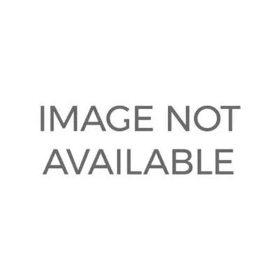 Political Science : An Introduction