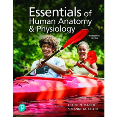 Essentials of Human Anatomy &amp; Physiology