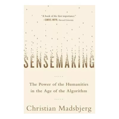 Sensemaking