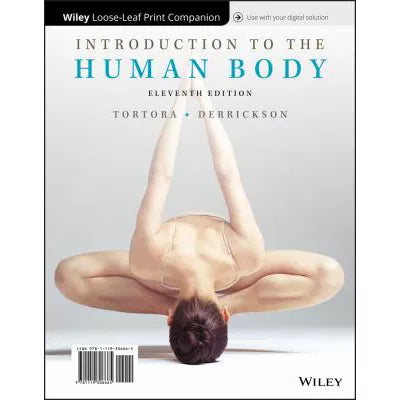 Intro to Human Body (LL)