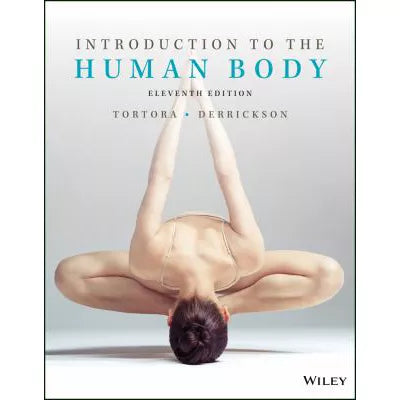 Introduction to the Human Body