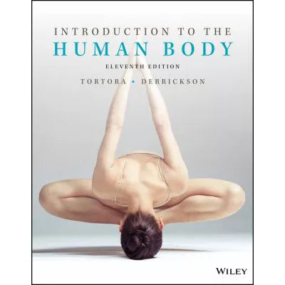 Intro to the Human Body