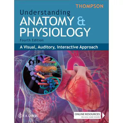 Understanding Anatomy &amp; Physiology: A Visual, Auditory, Interactive Approach